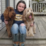 Adorable Down East Labradoodles