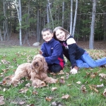 Adorable Down East Labradoodles