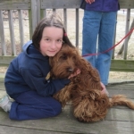 Adorable Down East Labradoodles