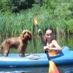 Adorable Down East Labradoodles